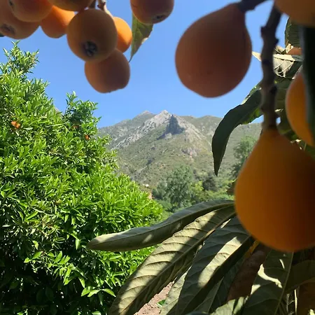 Casa Del Leon Nyaraló *