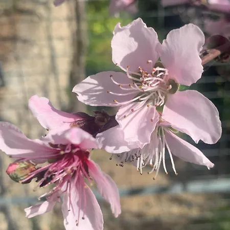 Дом отдыха Casa Del Leon Истан